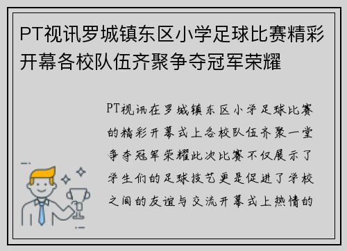PT视讯罗城镇东区小学足球比赛精彩开幕各校队伍齐聚争夺冠军荣耀